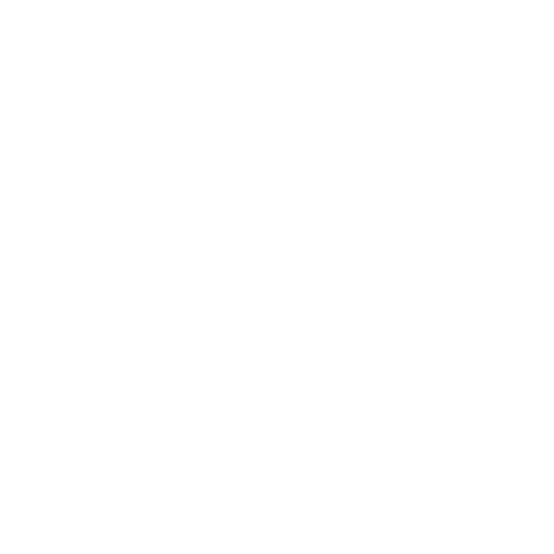 Roya Company for Shipping Agency